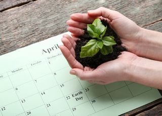 Сельскохозяйственный календарь 2020: когда сеять и чем удобрять растения?